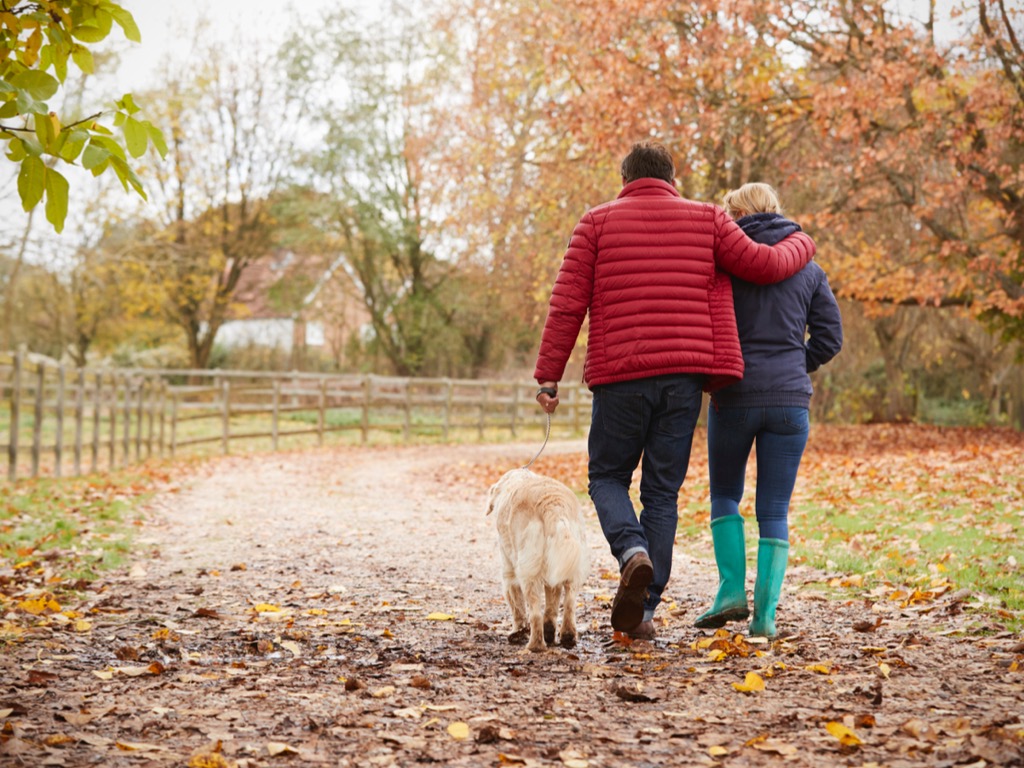 Retired couple walking dog